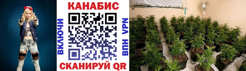 Купить закладку ГАШ Бошки Шишки Cocaine Мефедрон Боровск